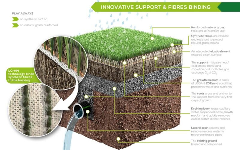 Comprehensive Guide: What is Hybrid Grass Turf? - Ekip Grass